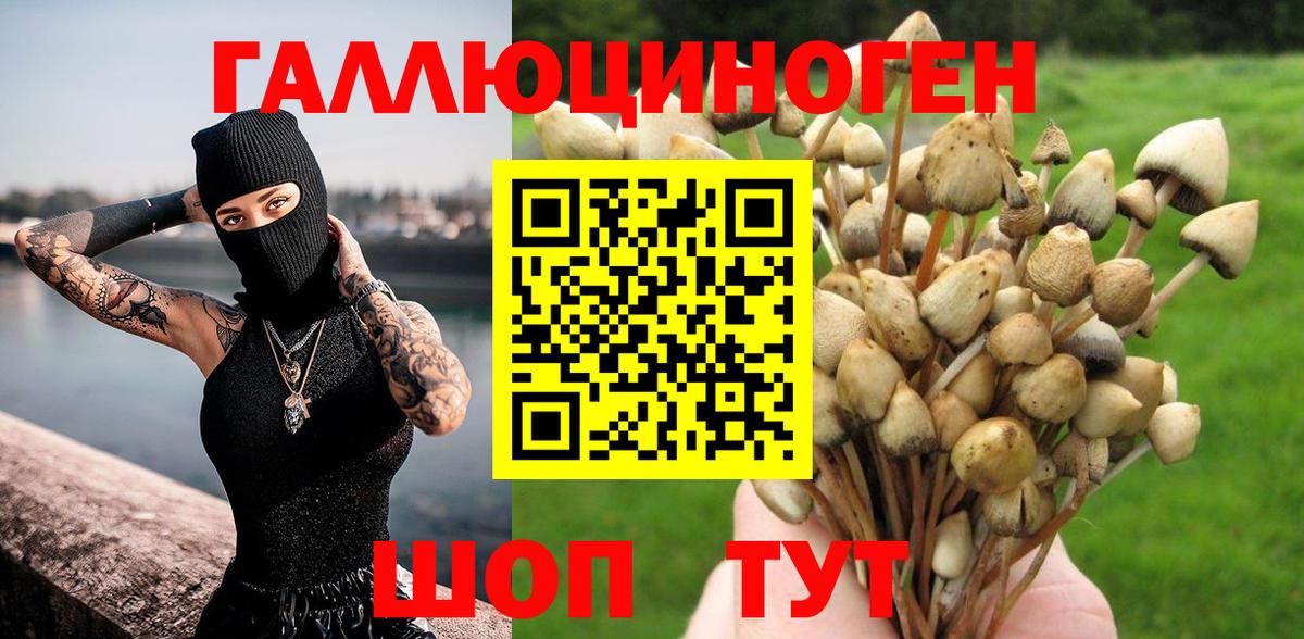 Галлюциногенные грибы Psilocybine cubensis  Псилоцибиновые грибы MAGIC MUSHROOMS  Вход с VPN  Кубинка 