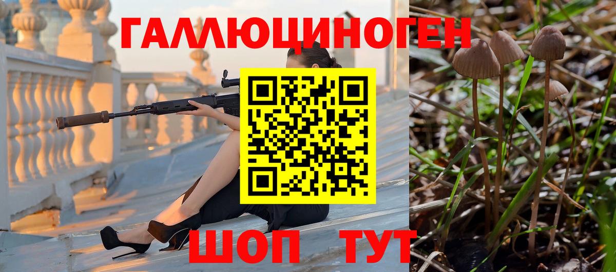 Псилоцибиновые грибы MAGIC MUSHROOMS Кубинка